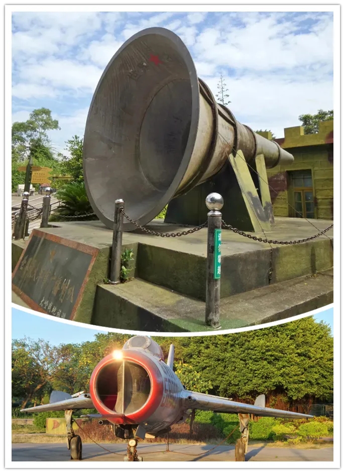 6.webp.jpg 6.webp.jpg